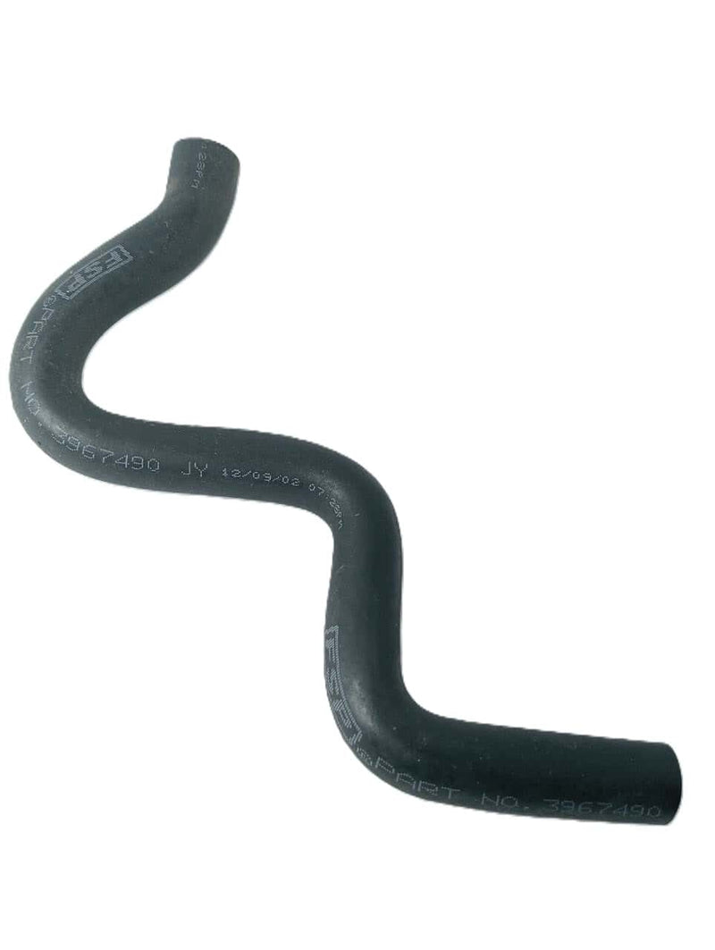 3969019
