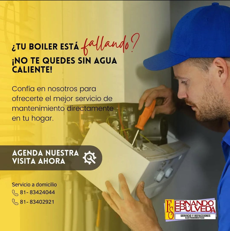 Revisión a Domicilio para Boiler de Paso y Eléctricos Monterrey