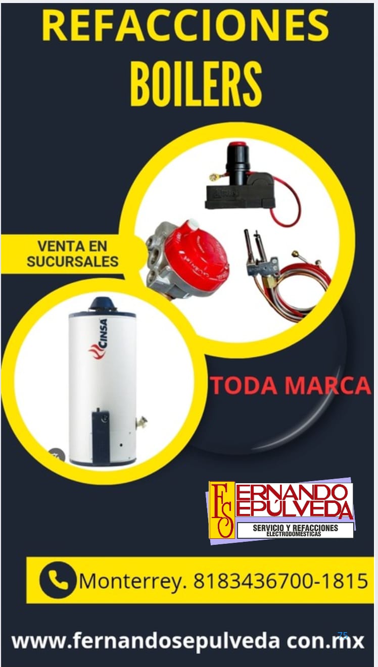 Módulos, Termostatos y Bujías de Boiler Cinsa y Calorex Refacciones en Monterrey y su Área Metropolitana